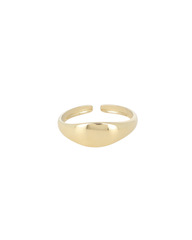 Bague style chevalière