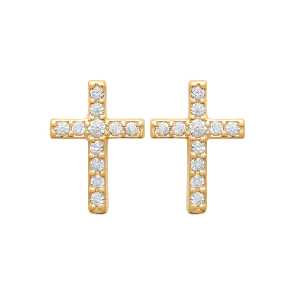 Puces croix Zia