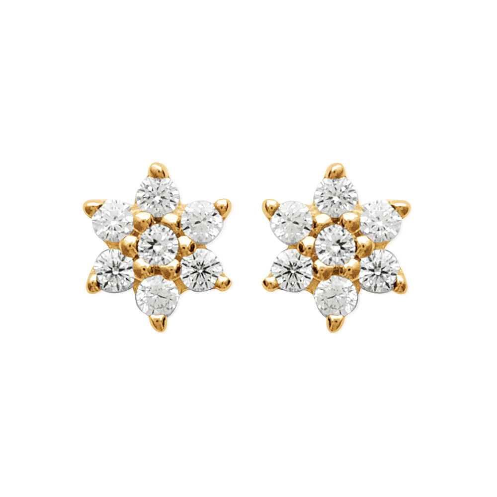 Puces fleurs strass