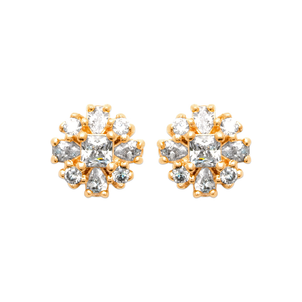 Puces fleuria Zia
