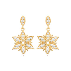 Boucles d’oreilles polaire