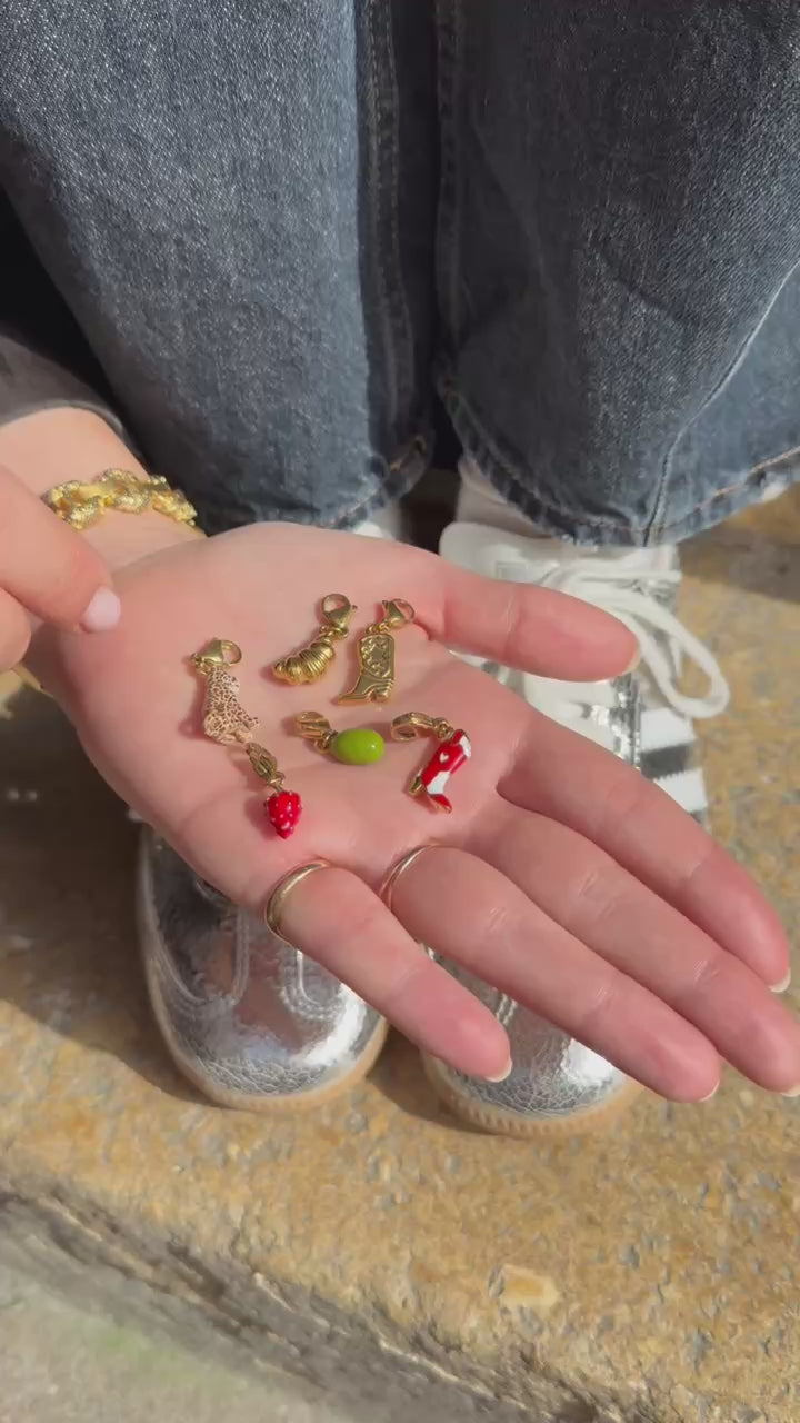 Charms à clip